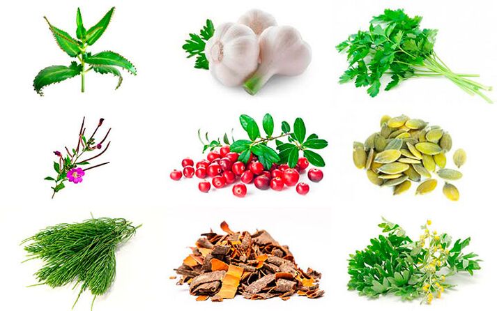 Prostatit tedavisi için halk ilaçları